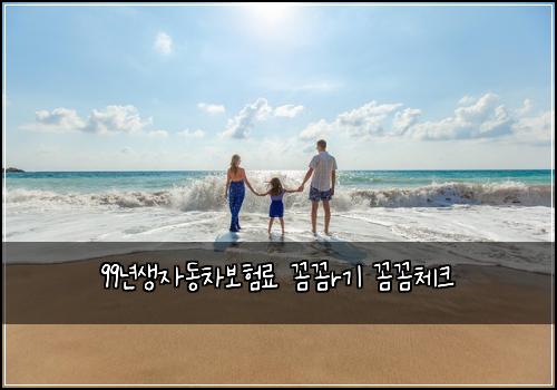 99년생자동차보험료 꼼꼼r기 꼼꼼체크