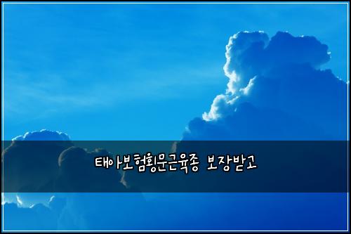 태아보험횡문근육종 보장받고