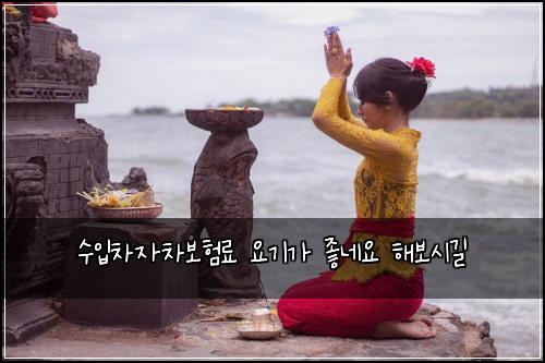 수입차자차보험료 요기가 좋네요 해보시길