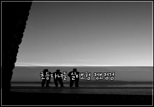 초등자녀들 실비보험 정보점검 