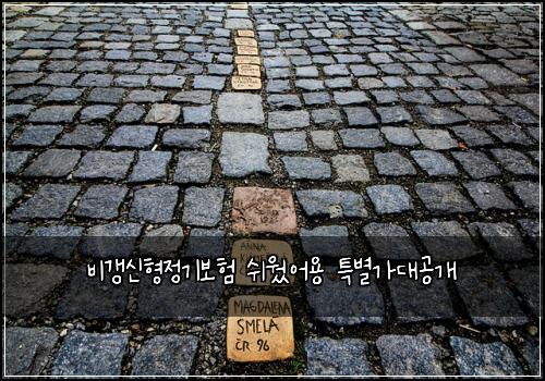 비갱신형정기보험 쉬웠어용  특별가대공개