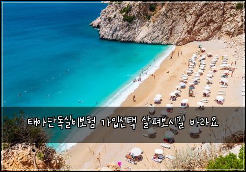 태아단독실비보험 가입선택  살펴보시길 바라요