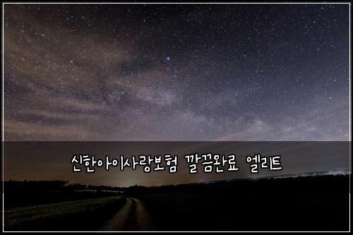 신한아이사랑보험 깔끔완료  엘리트