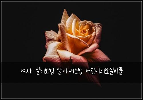 여자 실비보험 알아내는법  어린이의료실비를