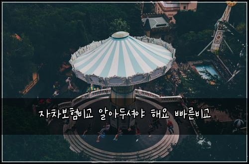 자차보험비교 알아두셔야 해요 빠른비교