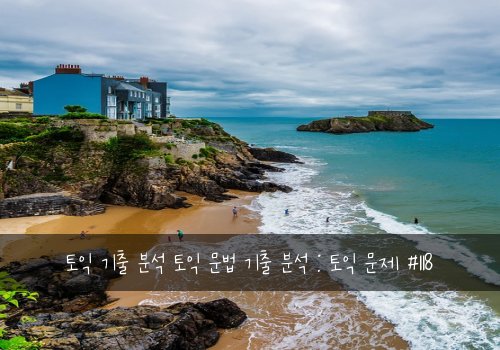 토익 기출 분석 토익 문법 기출 분석 : 토익 문제 #118