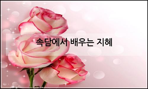 오늘의 이미지