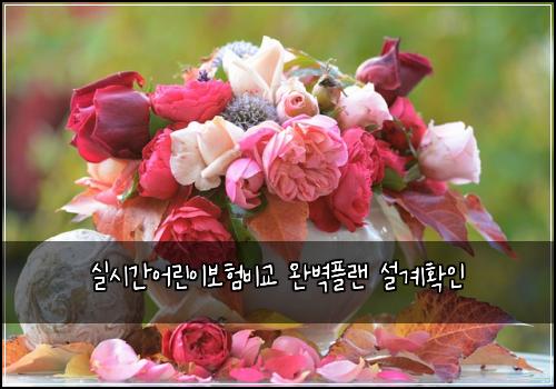 실시간어린이보험비교 완벽플랜 설계확인