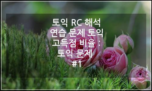 오늘의 이미지