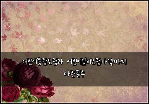 어린이종합보험과 어린이실비보험가격까지 마련필수