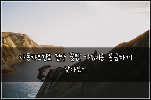 자동차보험료 절약 꿀팁: 가입비용 꼼꼼하게 알아보기