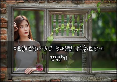 의료실비보험가격비교 정해진법 암수술비보장에 견적알기