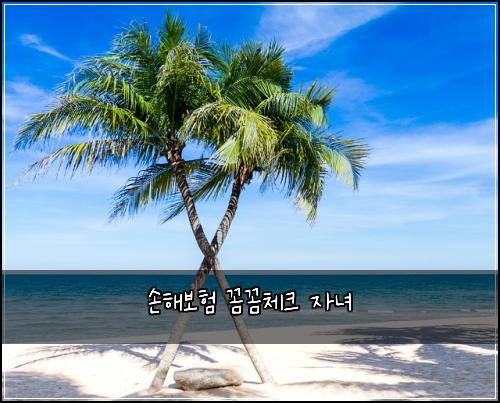 손해보험 꼼꼼체크  자녀