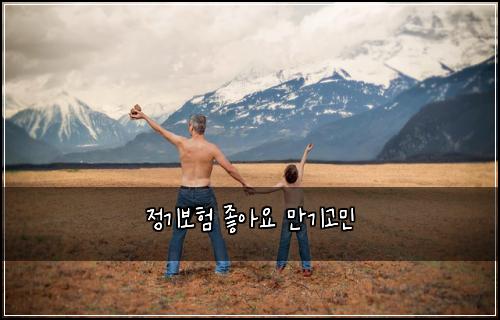 정기보험 좋아요  만기고민