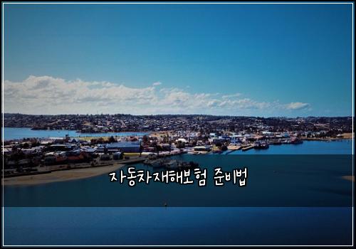 ์๋์ฐจ์ฌํด๋ณดํ ์ค๋น๋ฒ
