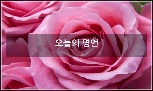 오늘의 이미지