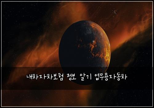 λ΄μ°¨μ차보ν μ 보 μκΈ° μ
무μ©μλμ°¨