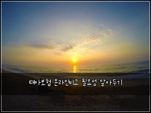 태아보험 온라인비교  필요성 알아두기