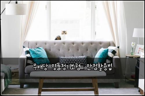 무배당 명품정기보험iii 만점활용법