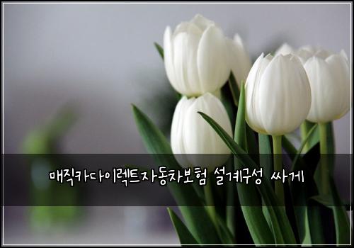 매직카다이렉트자동차보험 설계구성  싸게