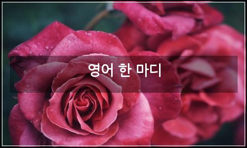 오늘의 이미지