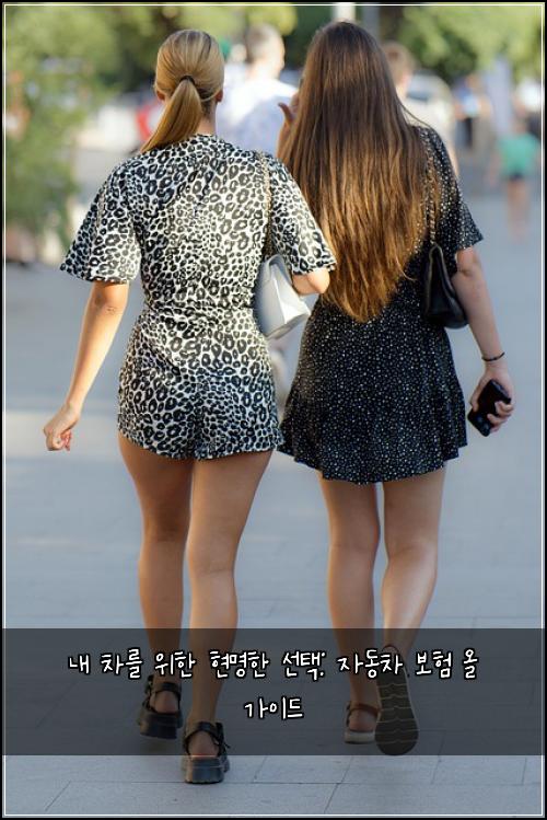  내 차를 위한 현명한 선택: 자동차 보험 올 가이드