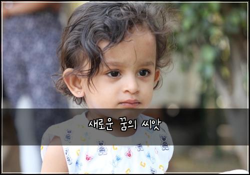 새로운 꿈의 씨앗
