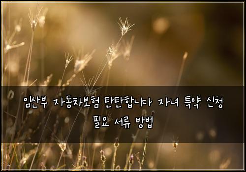 임산부 자동차보험 탄탄합니다  자녀 특약 신청 필요 서류 방법