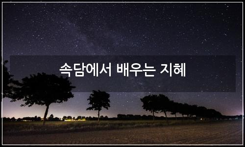 오늘의 이미지