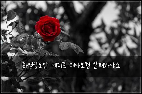 화염상모반 메리츠 태아보험 살펴봐야죠 