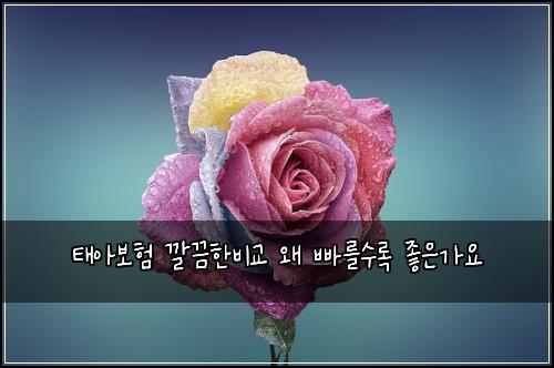 태아보험 깔끔한비교  왜 빠를수록 좋은가요