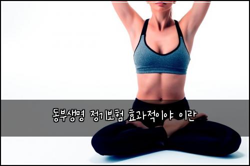 동부생명 정기보험 효과적이야  이란