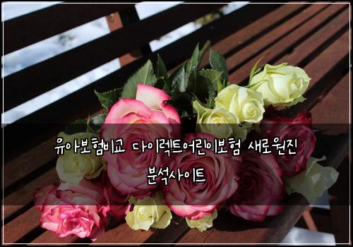 ์ ์๋ณดํ๋น๊ต ๋ค์ด๋ ํธ์ด๋ฆฐ์ด๋ณดํ ์๋ก์์ง ๋ถ์์ฌ์ดํธ