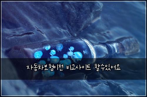 자동차보험이전 비교사이트 할수있어요