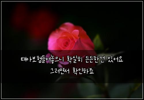 태아보험들어놓으니 확실히 든든한건 있어요 그러면서 확인하죠