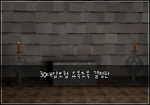 30대암보험 요목조목  결정판