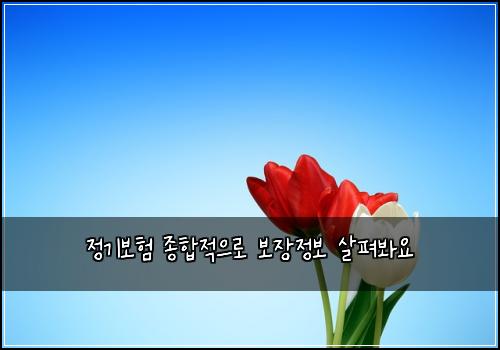정기보험 종합적으로  보장정보 살펴봐요