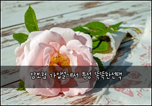 암보험 가입설계서  특성 똑똑한선택