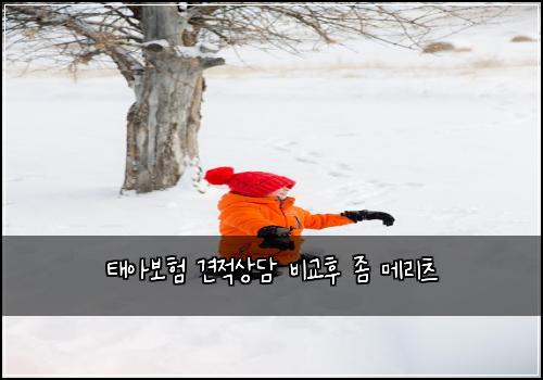 ํ์๋ณดํ ๊ฒฌ์ ์๋ด ๋น๊ตํ ์ข ๋ฉ๋ฆฌ์ธ
