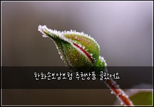 ํํ์๋ณด์๋ณดํ ์ถ์ฒ์ํ ๊ณจ๋์ด์