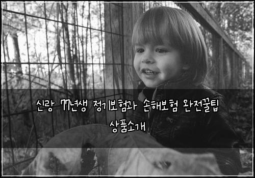 신랑 77년생 정기보험과 손해보험 완전꿀팁 상품소개