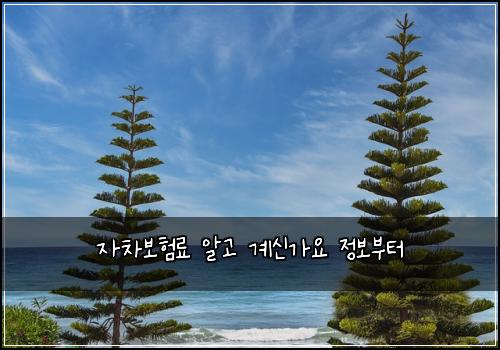 자차보험료 알고 계신가요 정보부터