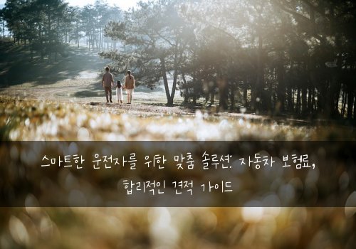  스마트한 운전자를 위한 맞춤 솔루션: 자동차 보험료, 합리적인 견적 가이드