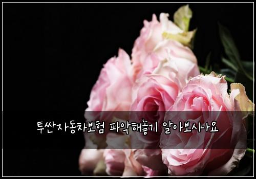 투싼자동차보험 파악해놓기  알아보시나요