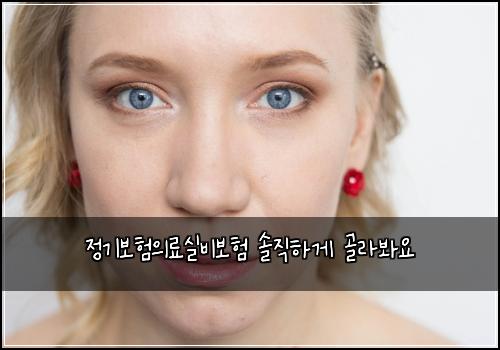정기보험의료실비보험 솔직하게 골라봐요