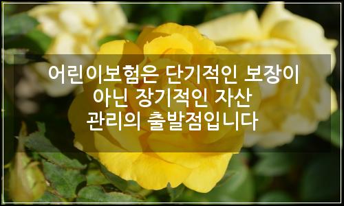 오늘의 이미지