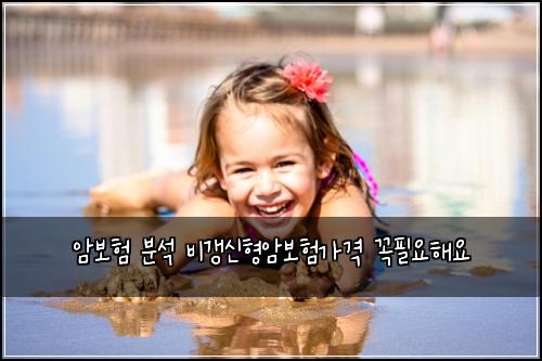 암보험 분석 비갱신형암보험가격 꼭필요해요