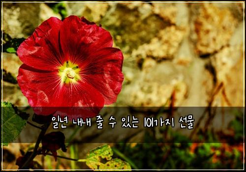 일년 내내 줄 수 있는 101가지 선물
