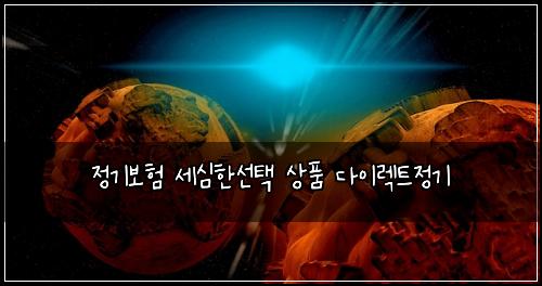 정기보험 세심한선택  상품 다이렉트정기