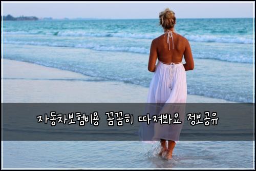자동차보험비용 꼼꼼히 따져봐요 정보공유